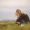 Side view of a despaired woman sitting curled up in nature.